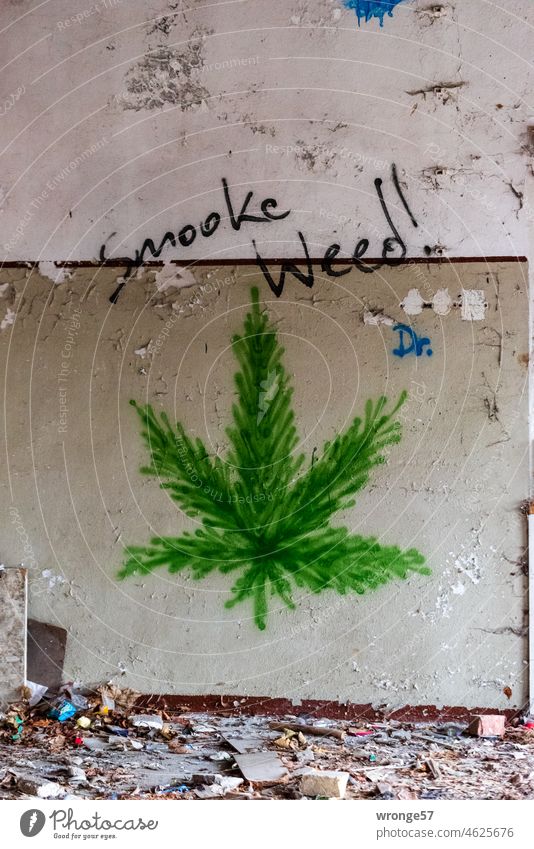 Smoke Weed! is sprayed on a wall with black paint, complemented by a green hemp leaf Smoking Cigarette Joint Unhealthy Relaxation Graffito Hemp hemp plant