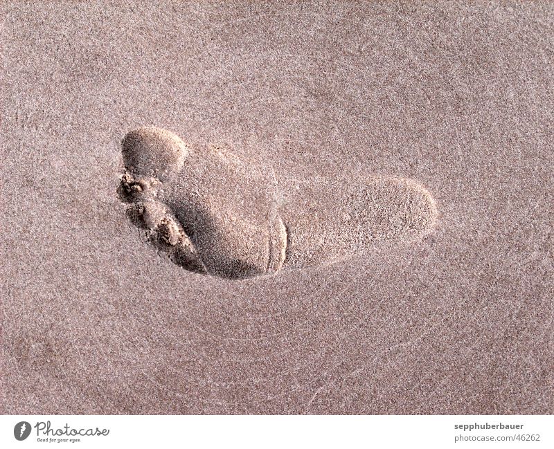 Traces in the sand Beach Feet Sand Barefoot Footprint Surrealism Ochre Light brown Beige Exterior shot Experimental Copy Space bottom Neutral Background Shadow