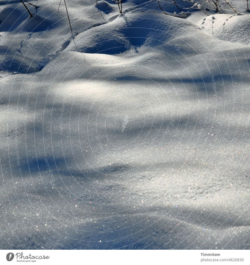 Snow, hills and stalks Winter Light Shadow Hill Tracks Cold Nature Deserted Snow track Snow layer Day