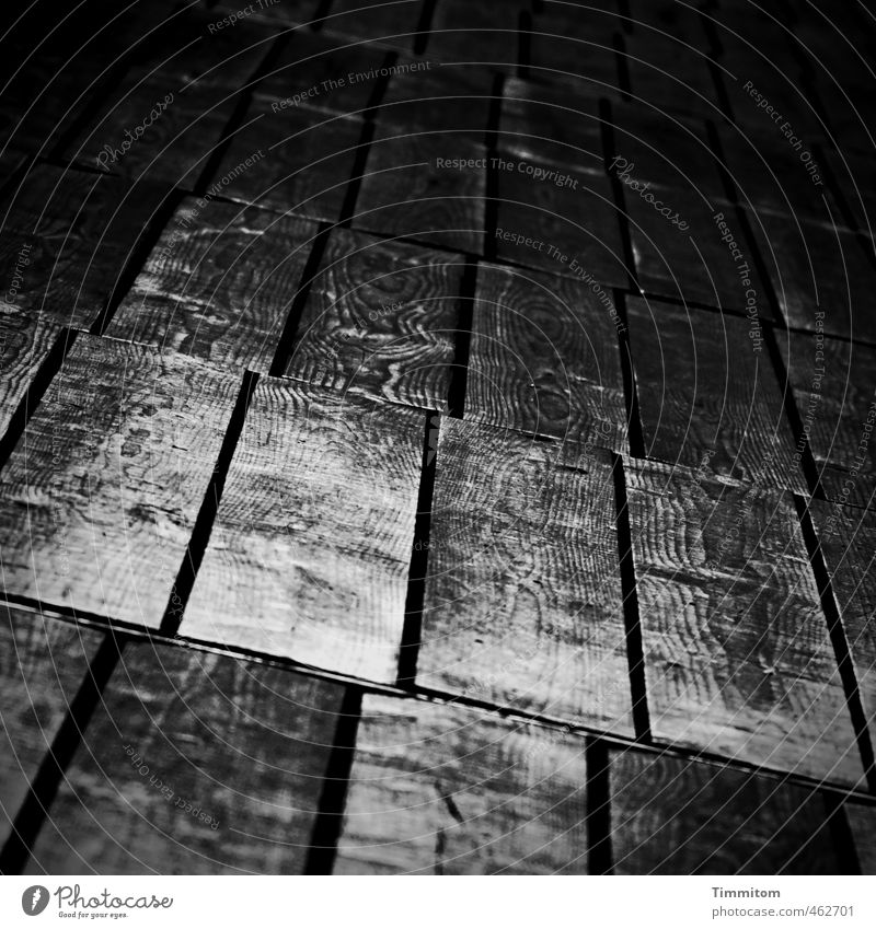 That goes wrong. Wood Going Looking Esthetic Dark Glittering Gray Black Emotions Wood grain Wooden floor Old Column Line Black & white photo Interior shot