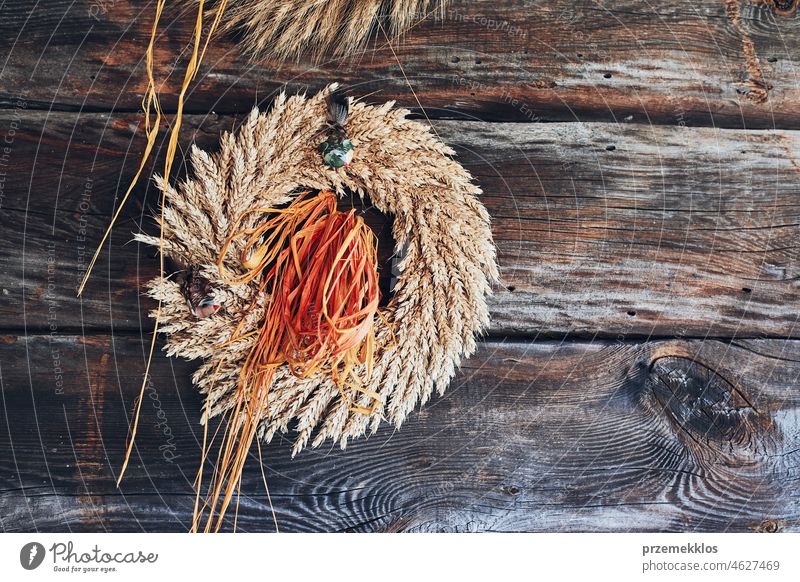 Wreath of golden ears of wheat, dried flowers and herbs tied with red ribbon hung on wooden wall wreath rustic decoration background ornament vintage door