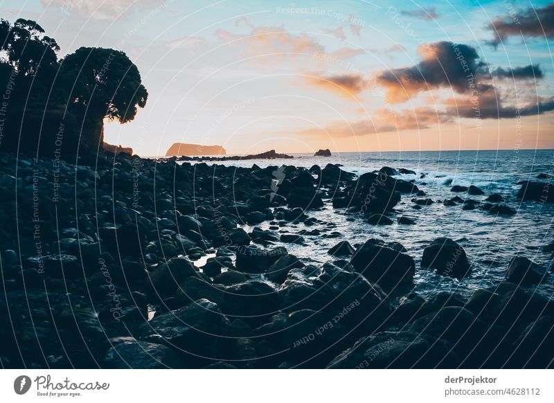 Shore in the Azores during sunrise Central perspective Deep depth of field Sunlight Reflection Contrast Shadow Copy Space middle Copy Space bottom