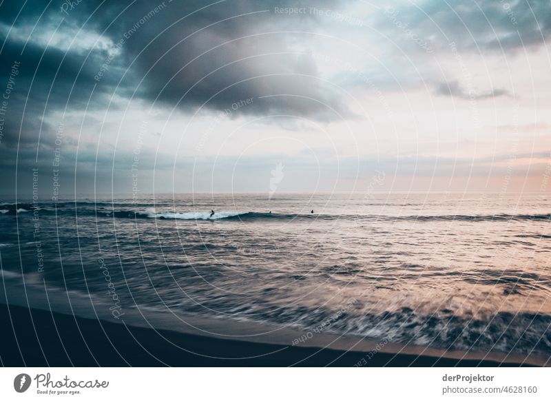 Waves on the shore and surfers during sunset in Azores Central perspective Deep depth of field Sunlight Reflection Contrast Shadow Copy Space middle