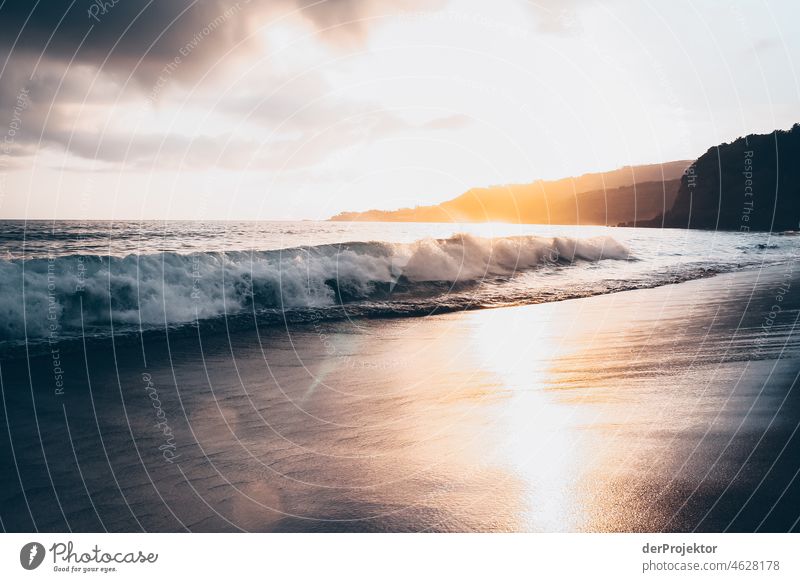 Waves on shore during sunset in Azores II Central perspective Deep depth of field Sunlight Reflection Contrast Shadow Copy Space middle Copy Space bottom