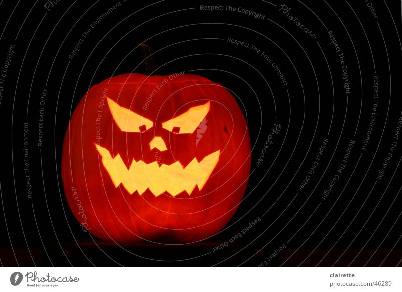 Halloween Pumpkin Colour photo Multicoloured Copy Space right Night Face Hallowe'en Creepy Hot Yellow Gold Black Fear Dangerous Helloween Orange creep