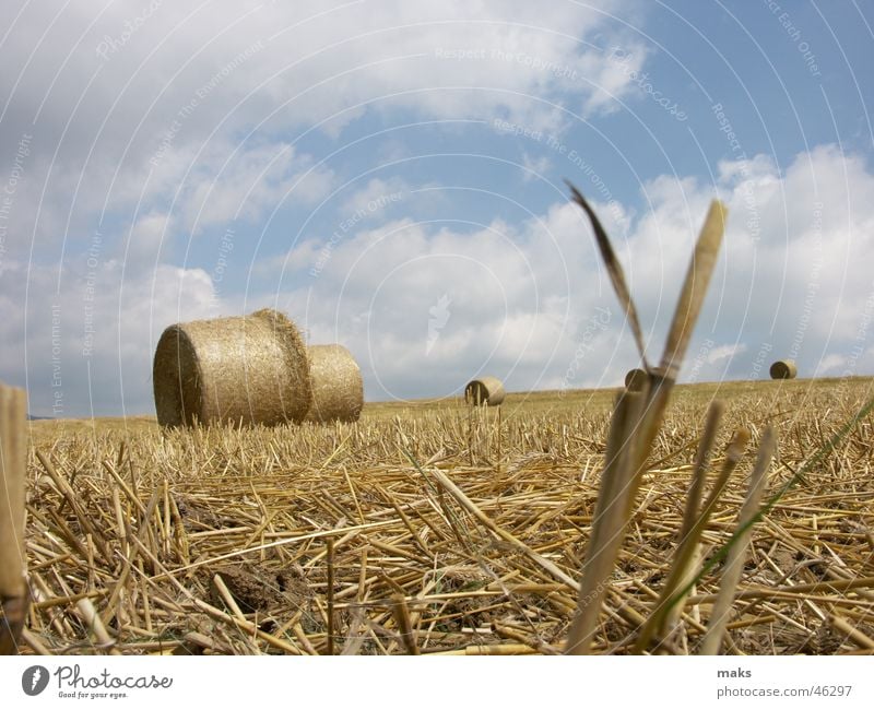 summer close Field Straw Bale of straw Yellow Clouds Sky Blue Blade of grass