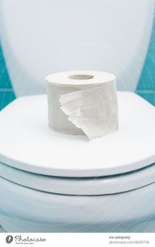 torn roll of toilet paper lies on closed lid of toilet bowl lavatory wc water closet lavatory paper white tissue bumf toilet pan basin cover hygienic one clean