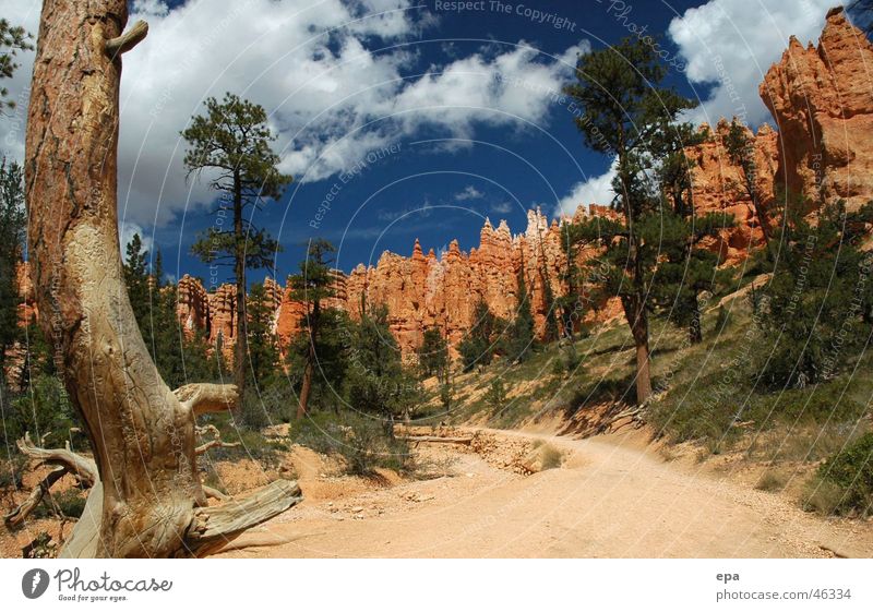 Bryce Canyon 1 National Park Red Vacation & Travel Exterior shot USA Blue Nature Lanes & trails Stone Freedom Sun Contrast Miracle of Nature Day
