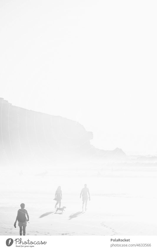 #A0# Walk at the Beach To go for a walk Walk in the nature Walk on the beach Beach walkers Black & white photo Ocean coast Nature Vacation & Travel Relaxation