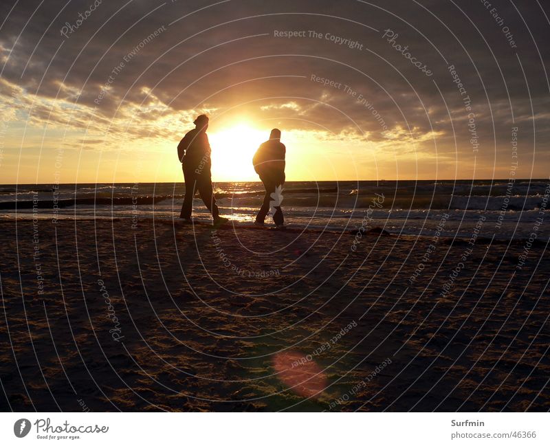 sandpiper Beach Sunset Ahrenshoop Ocean Walk on the beach Baltic Sea Sky Summer