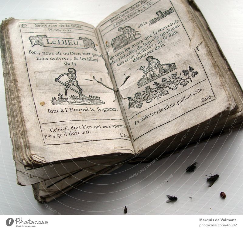 Le Dieu Book Printing Woodcut Religion and faith Bible Still Life Transience Paper Insect The Grim Reaper Skeleton Catholicism Library Beetle Bow Side Death