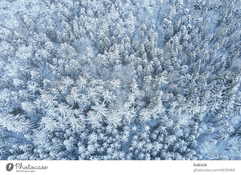 Beautiful winter forest with snowy trees, aerial view landscape mountains winter landscape nature abstract backdrop background beautiful cold day drone