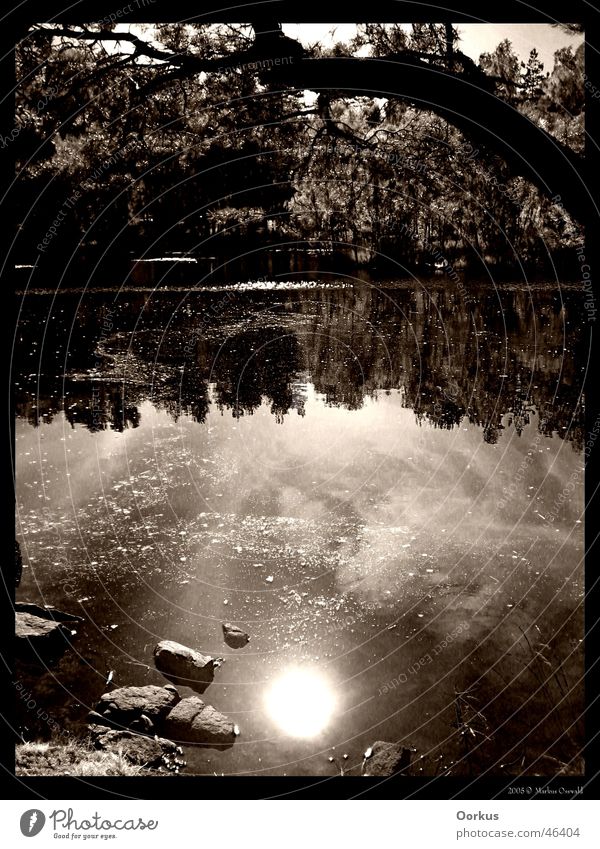 mirroring Lake Surface of water Reflection Sun
