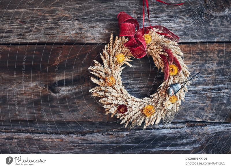 Wreath of golden ears of wheat, dried flowers and herbs tied with red ribbon hung on wooden wall wreath rustic decoration background ornament vintage door