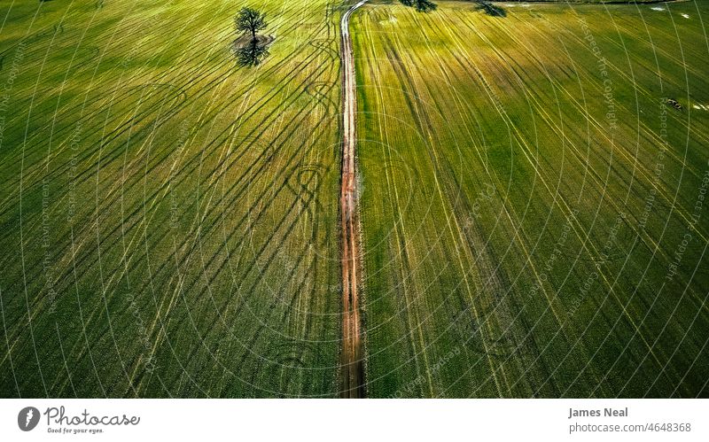 A vibrant agricultural farm field during daytime. A dirt road runs along the center of the surrounded by tire tracks. grass spring color imprints nature land