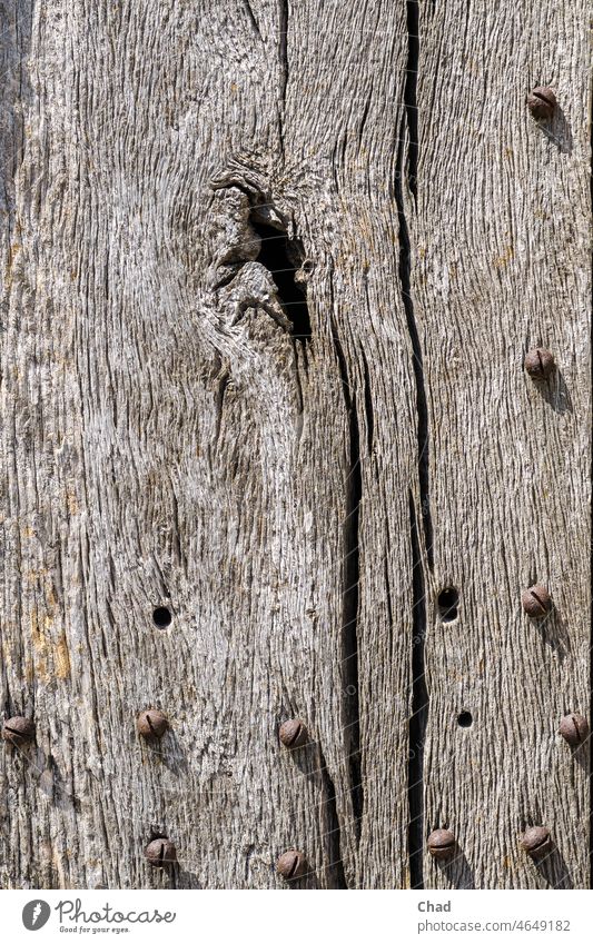 old wooden door with rusty lens head screws Old Wood Patina Knothole Gray greying Exterior shot Structures and shapes Deserted Colour photo Wood grain Weathered