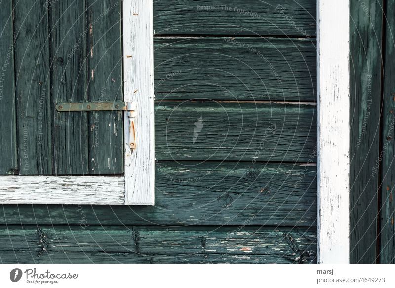 Wooden, green and weathered. Closed window on a hut made of wood. Old Rustic geometric Weathered Wood grain Structures and shapes Divided Wooden wall Torn Solid