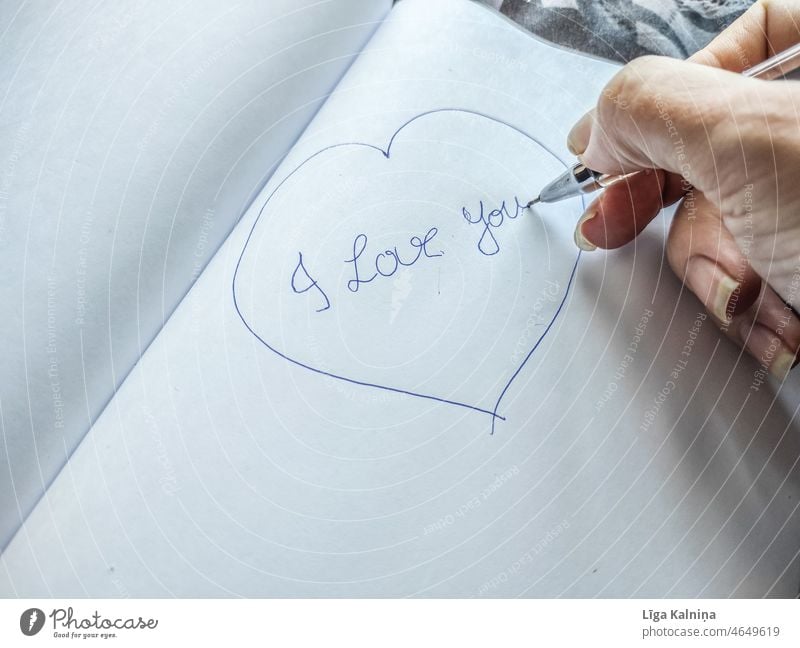My Love Written Words My Love On A White Background Accurate Word