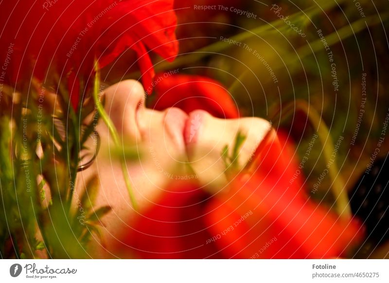 A dream of summer. A young woman lies in the garden between poppy blossoms. Only a part of her face is visible. Face Nose Mouth Lips Chin Young woman