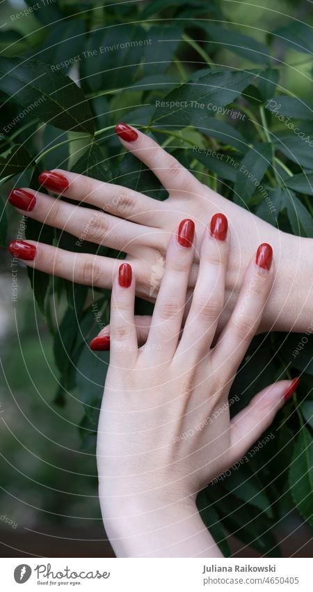female hands in nature with red nail polish Colour photo red fingernails Woman Girl Close-up Day Detail Exterior shot Fingernail Human being Manicure Feminine