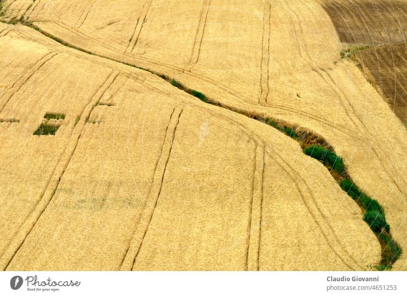 Landscape along the road from Termoli to Serracapriola, Southern Italy Adriatico Apulia Campobasso Europe Foggia June Molise Puglia agriculture color day field