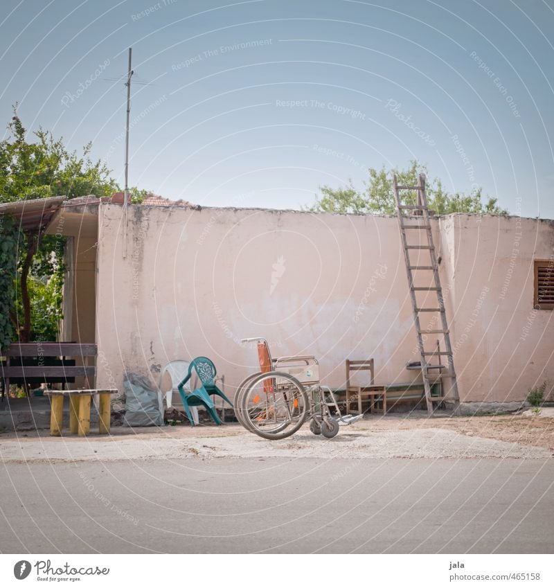 turtleneck Sky Beautiful weather Plant House (Residential Structure) Manmade structures Building Wall (barrier) Wall (building) Facade Dry Town Wheelchair