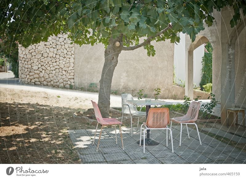 seat Garden Chair Table Plant Tree Fig tree Croatia House (Residential Structure) Manmade structures Building Facade Terrace Discover Relaxation Colour photo