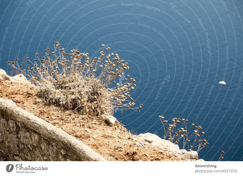 Wall sand and sea Ocean Capri Water Under Blue White stones aridity Bottom of the sea clear bank coast Wall (barrier) Stone wall Landscape Nature Beach