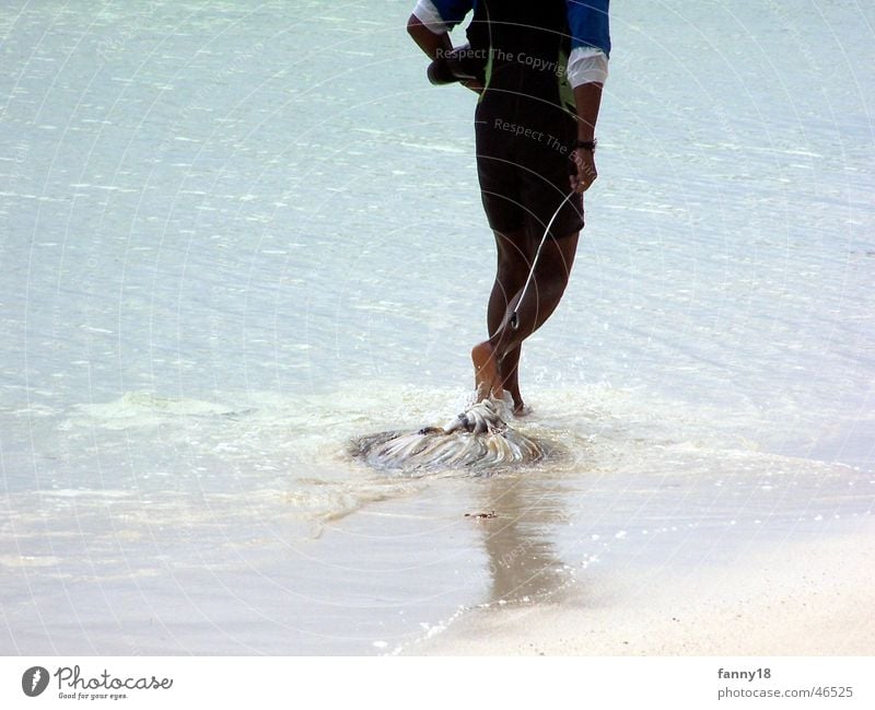 The lonely fisherman Seychelles La Digue Fisherman Fishing (Angle) Squid Indigenous Beach Catch Nutrition calamari Island Water Pull Death Food