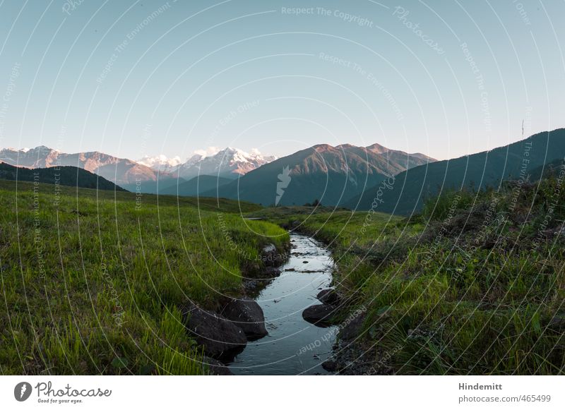 To the Ortler Environment Nature Earth Air Water Sky Cloudless sky Summer Beautiful weather Meadow Hill Rock Alps Mountain Snowcapped peak Brook Sharp-edged