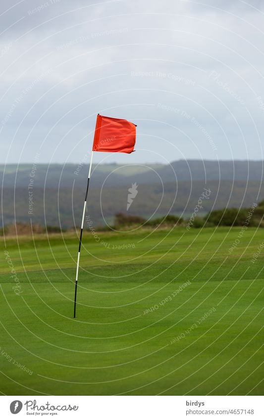 Waving red flag in the green on a golf course Flag Red mark Golf course Horizon Landscape Hole Wind waving flag Leisure and hobbies Golf Lawn Playing