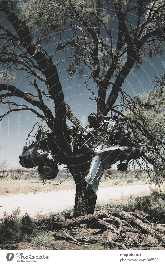 car crash Tree Accident Outback Scrap metal Australia Bulge Scratch mark Summer Physics Progress Grass Transport Car Metal Rust Sky Varnish Warmth Sun Street