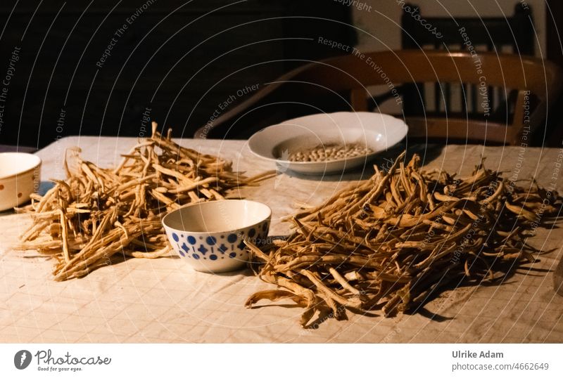 Count, pick, shell or remove pods from dried yellow beans Beans Yellow Dried Vegan diet Food Vegetable Nutrition Vegetarian diet pot Shelling palen husks cure