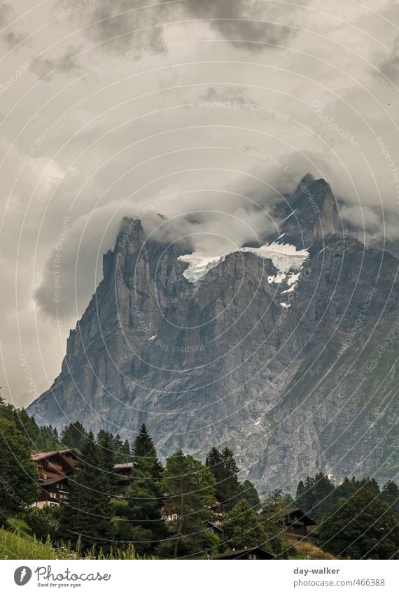 Wetterhorn - how true! Nature Plant Elements Clouds Storm clouds Summer Bad weather Thunder and lightning Tree Flower Grass Alps Mountain Peak Snowcapped peak