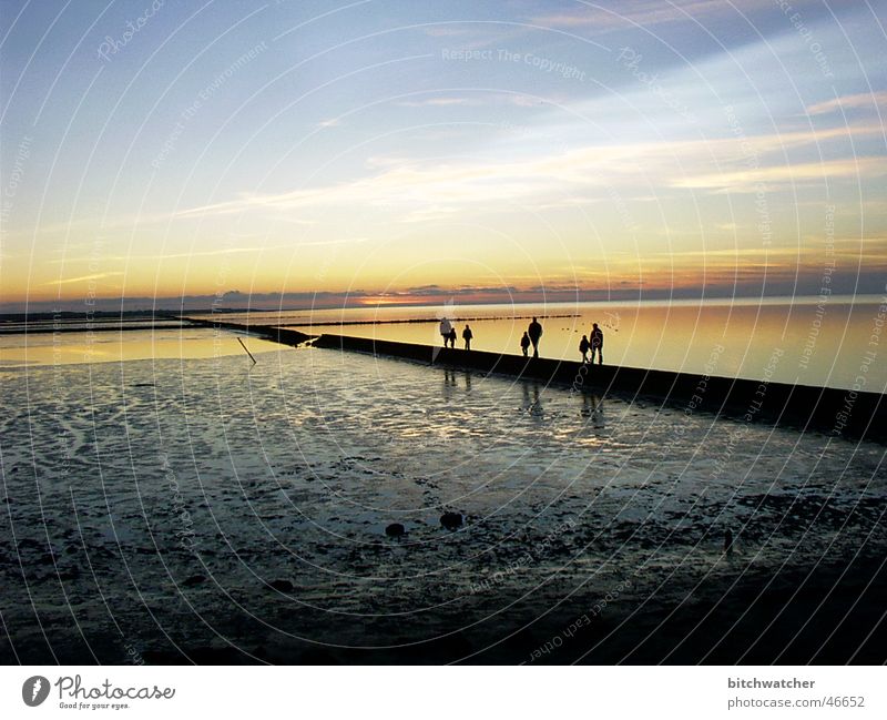 Evening in Watt1 Mud flats Walk along the tideland Coast Sunset North Sea