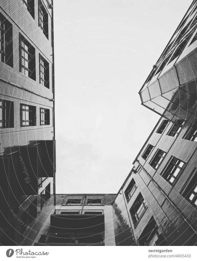 look up positively Architecture Hamburg Interior courtyard Backyard Black & white photo Perspective Without prospects Gloomy urban Minimalistic Facade at home
