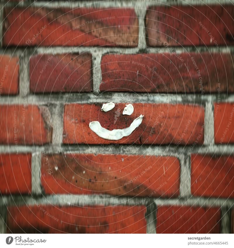 Art on the building (I) Wall (building) Facade Face Smiley Smiling Chewing gum Wall (barrier) Exterior shot Happiness Humor brick Red White Pattern
