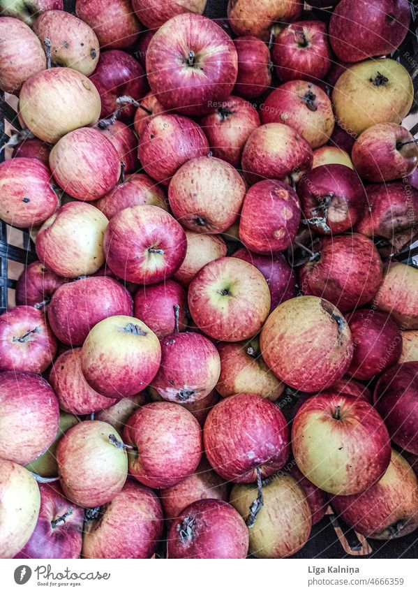 Fullframe of apples Apple Apple harvest Apple tree Fruit Healthy Autumn Nutrition Juicy Organic produce Food Harvest Colour photo Delicious Nature Tree Garden