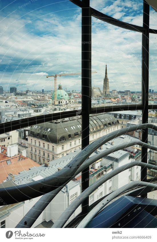 Wiener Rundschau Vienna sea of houses City Church Staircase (Hallway) Capital city Austria Window Panorama (View) St. Stephen's Cathedral Colour photo Building