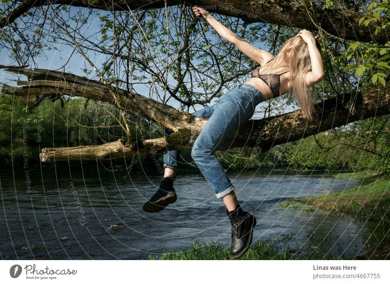 A blonde girl dressed in blue jeans and a sexy bralette is up in a tree. A wild model is having fun and doing some kind of rodeo stuff while using a tree branch. A fresh feeling of spring is here!