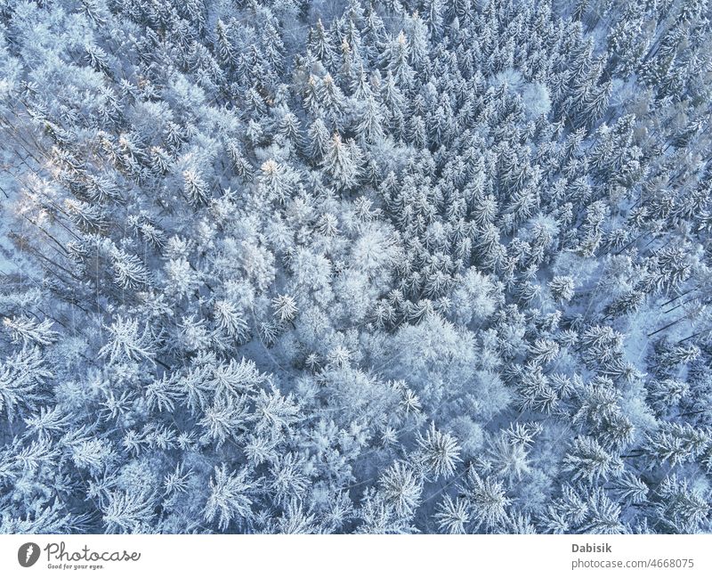 Aerial view of forest covered wirt snow winter aerial mountain tree nature background landscape flight woodland drone snowy poland europe cold country