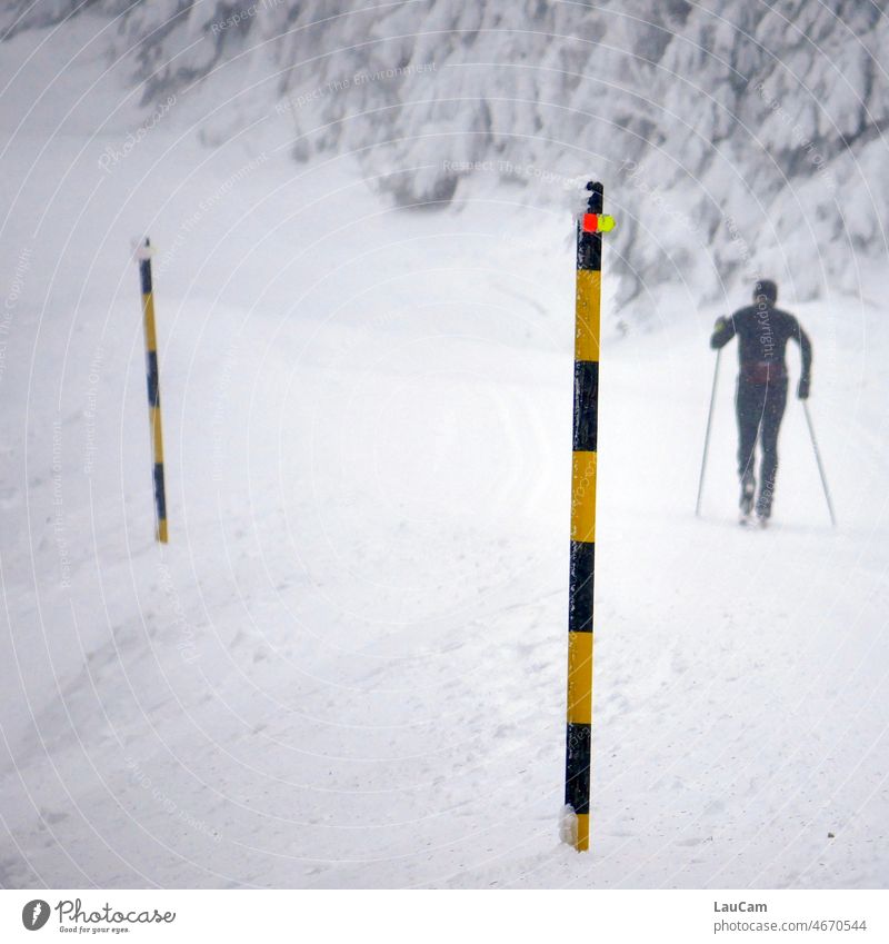 The way is the goal - lonely cross country skier on the way to the summit Snow Winter cross-country skiing skis Skiing Skier Cross-country skier Classic Skating