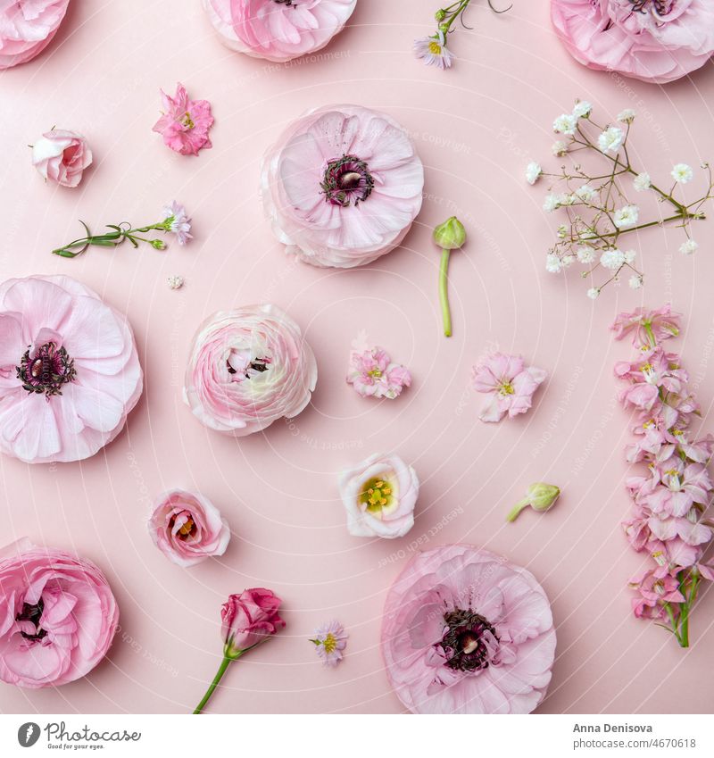 Floral arrangments of tender ranunculus flowers bouquet trendy bunch buttercup bunch of flowers bloom wallpaper card postcard flat lay bunch of ranunculus