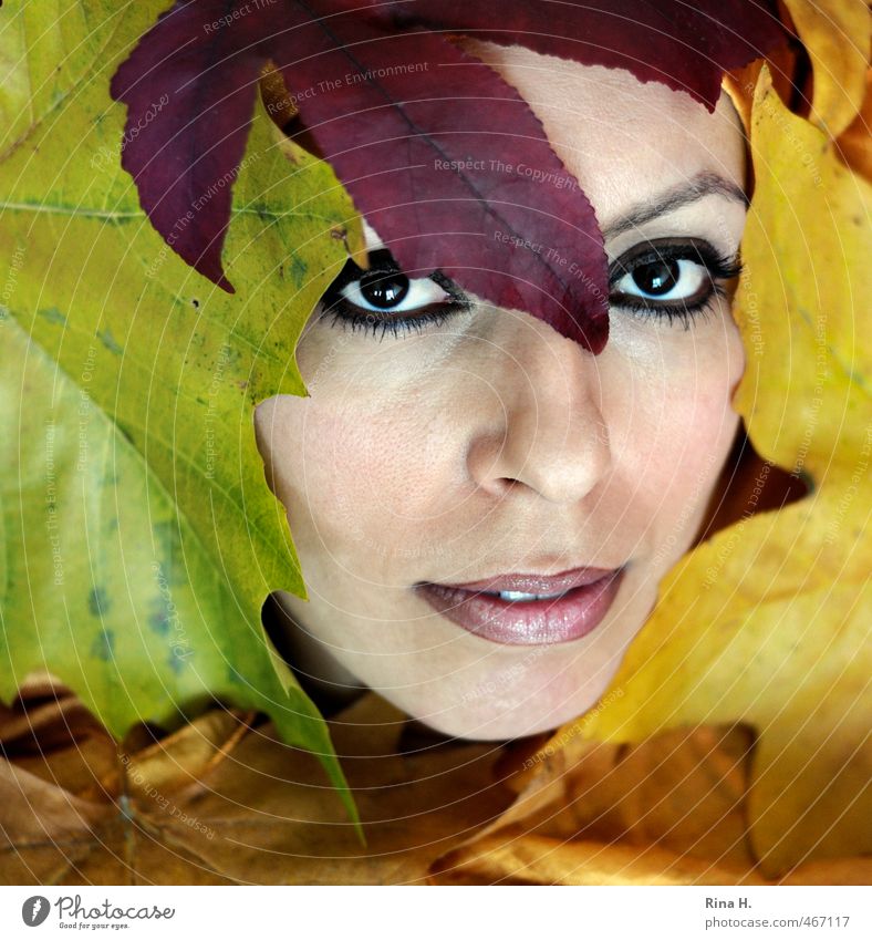 autumn portrait Beautiful Feminine Young woman Youth (Young adults) 1 Human being 30 - 45 years Adults Autumn Leaf Esthetic Multicoloured Yellow Eyes Looking