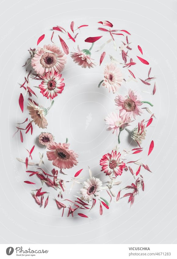 Vertical floral frame made with flying pink flowers and petals at white background vertical beautiful summer springtime concept daisies top view 3d blossom card