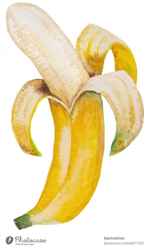 half peeled banana drawing