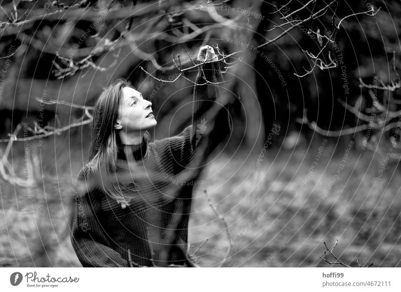 a woman reaches for a tiny bud or leaf on a bare branch in the forest Hope Growth Woman Face of a woman bare trees bare branches Winter Tree Twigs and branches