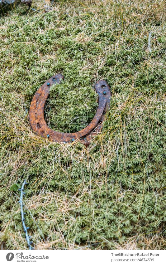 Horseshoes in forest on moss Moss Forest Happy Good luck charm