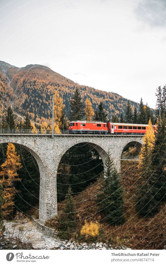 Train drives over railroad bridge Rhatian trains rhätischebahn Red Grisons Switzerland Bridge Railway bridge Engadine Swiss Alps Tourism Mountain Autumn