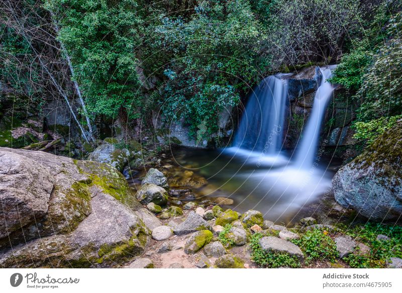 Rocky river streaming through lush forest · Free Stock Photo